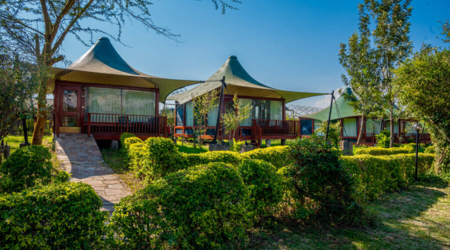 aa lodges mara