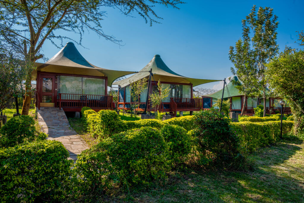 4 Days Lake Nakuru & Masai Mara Safari | Big Five Kenya Safari