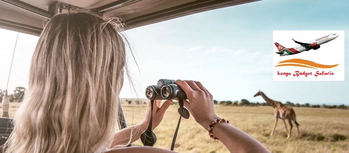 Kenya Budget safaris Packages from Nairobi